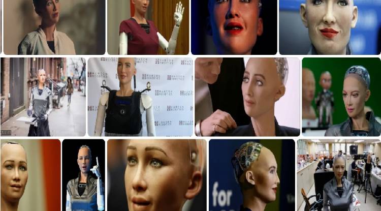 Sophia Robot
