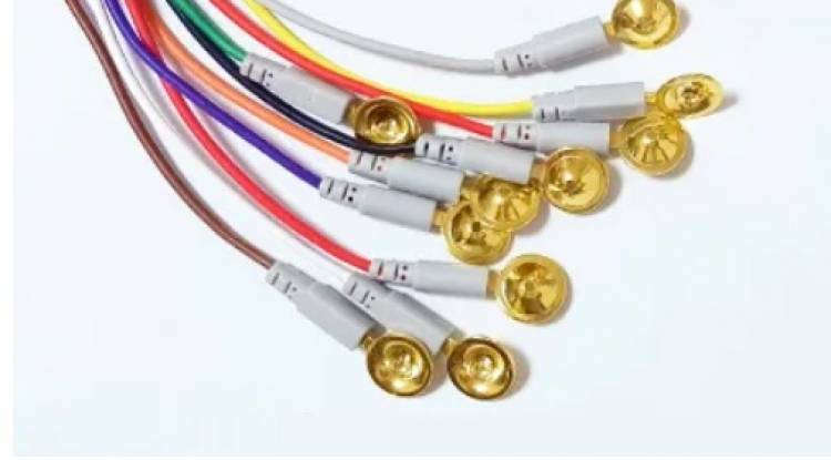 eeg electrodes