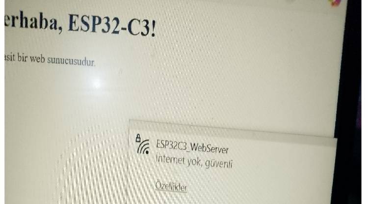 esp32-c3 web server